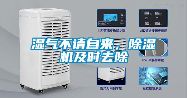 濕氣不請自來,除濕機及時去除