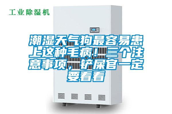 潮濕天氣狗最容易患上這種毛?。∪齻€注意事項，鏟屎官一定要看看