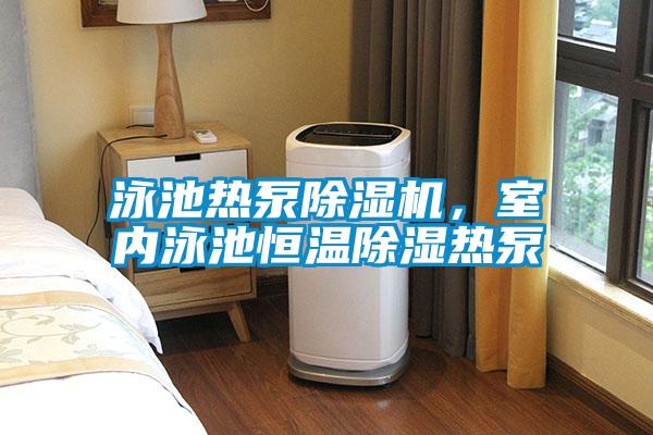 泳池?zé)岜贸凉駲C(jī),室內(nèi)泳池恒溫除濕熱泵