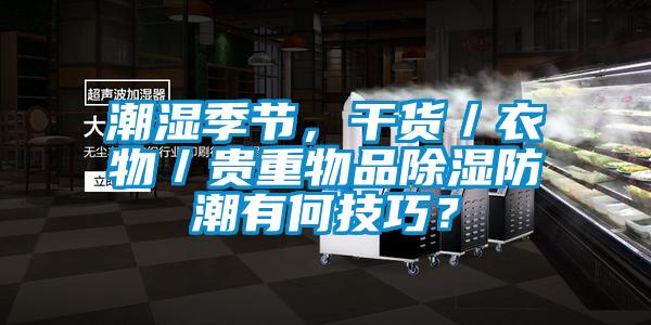 潮濕季節,干貨/衣物/貴重物品除濕防潮有何技巧?
