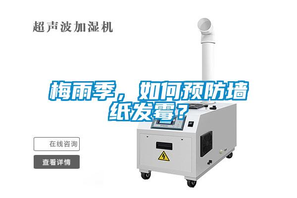 梅雨季，如何預防墻紙發霉？