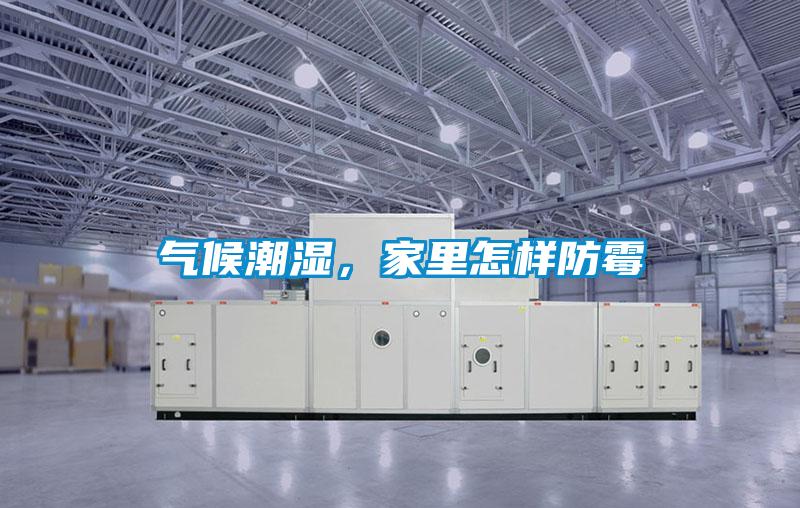 氣候潮濕,家里怎樣防霉