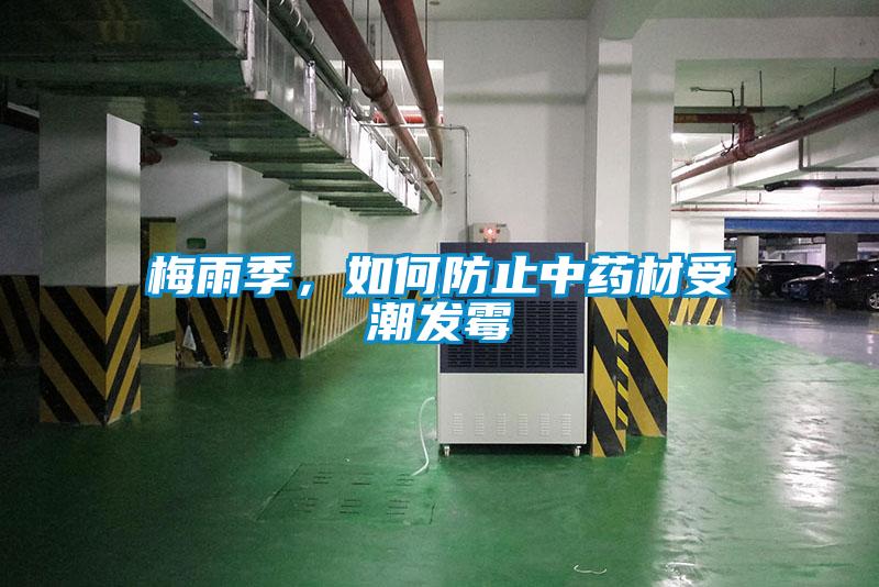 梅雨季,如何防止中藥材受潮發霉