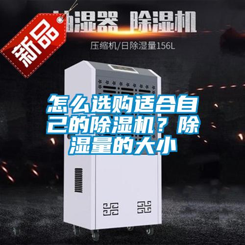怎么選購適合自己的除濕機(jī)?除濕量的大小
