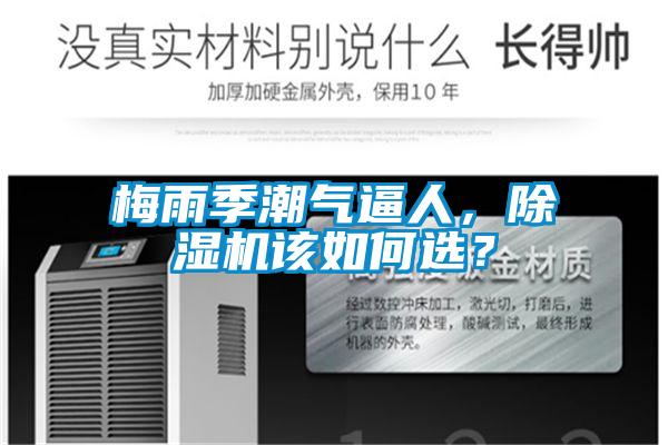 梅雨季潮氣逼人,除濕機該如何選?