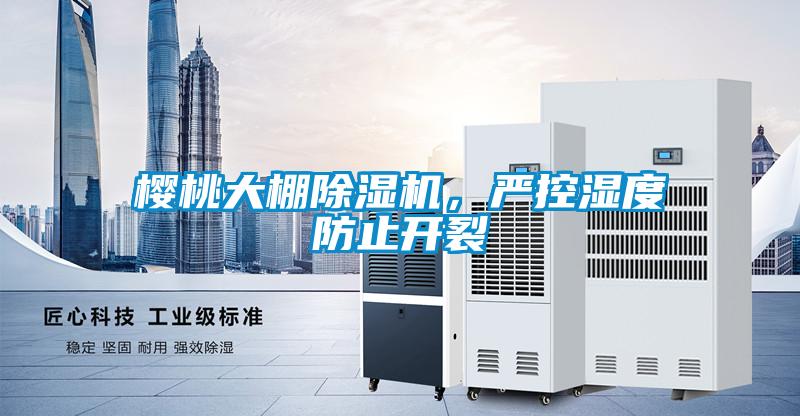 櫻桃大棚除濕機,嚴控濕度防止開裂