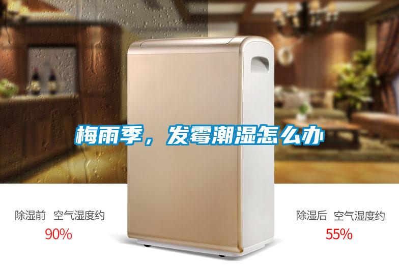 梅雨季，發霉潮濕怎么辦