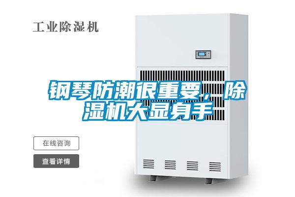 鋼琴防潮很重要，除濕機大顯身手