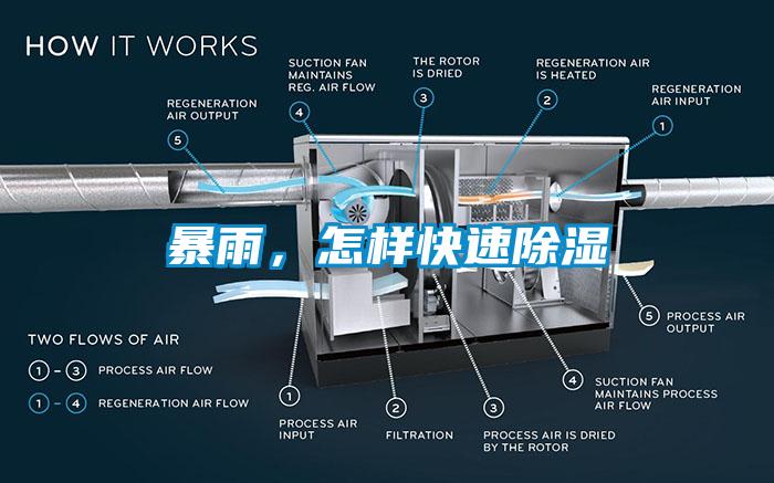 暴雨,怎樣快速除濕