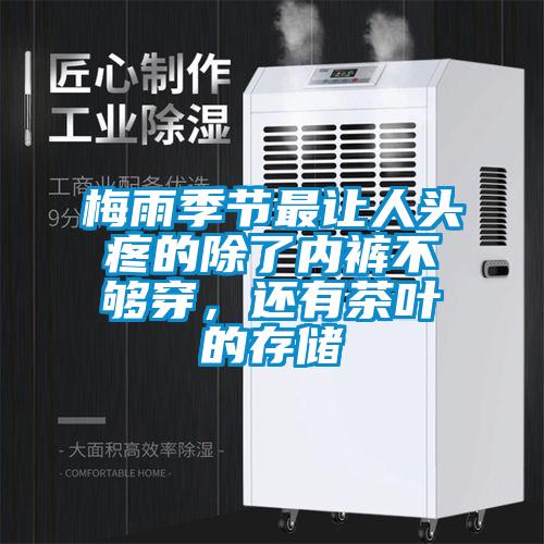 梅雨季節最讓人頭疼的除了內褲不夠穿，還有茶葉的存儲