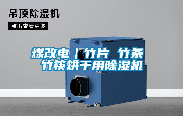 煤改電|竹片 竹條 竹筷烘干用除濕機