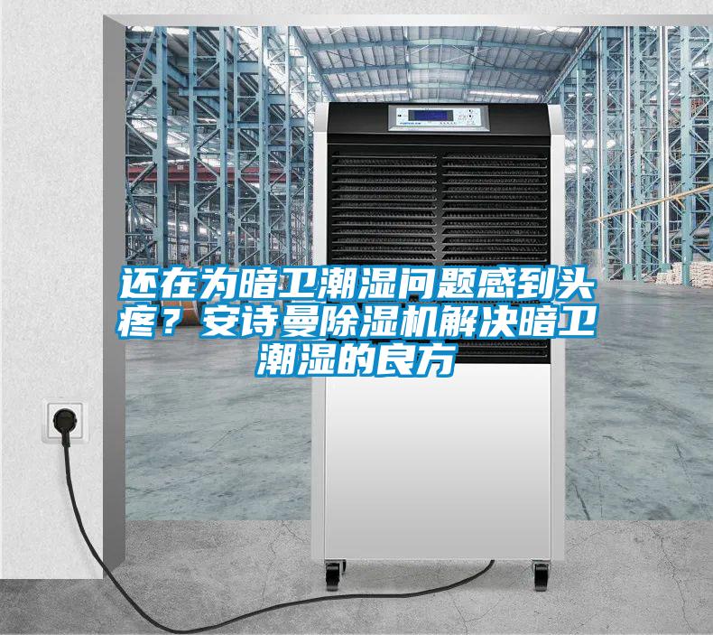 還在為暗衛潮濕問題感到頭疼?安詩曼除濕機解決暗衛潮濕的良方