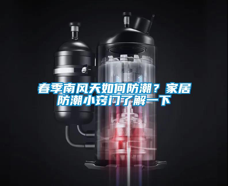 春季南風(fēng)天如何防潮?家居防潮小竅門了解一下