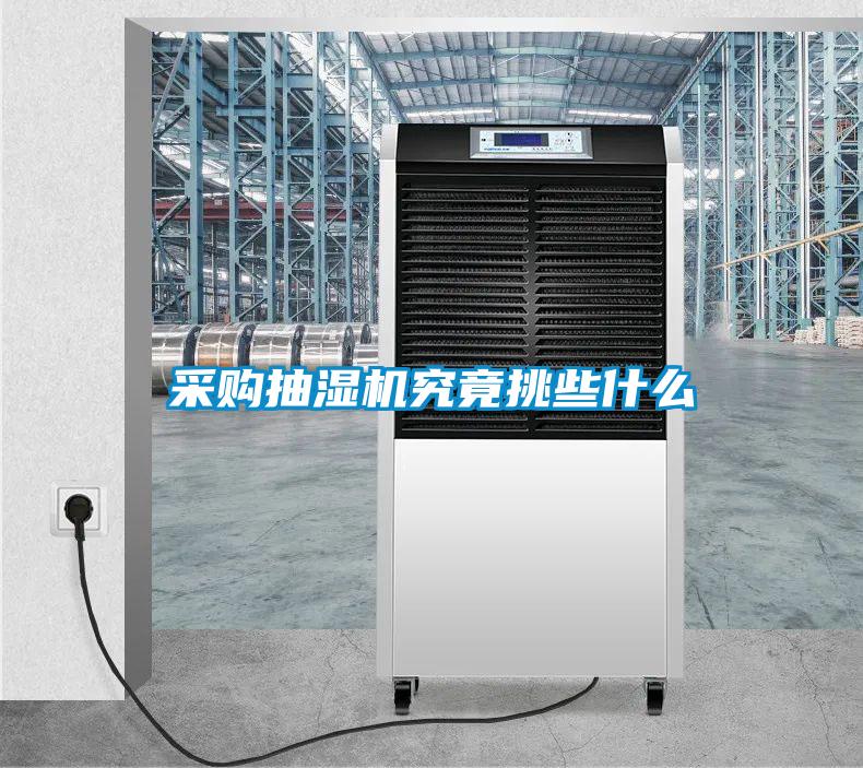 采購(gòu)抽濕機(jī)究竟挑些什么