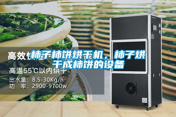 柿子柿餅烘干機,柿子烘干成柿餅的設備