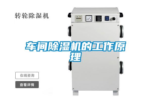 車間除濕機的工作原理