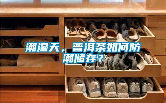 潮濕天,普洱茶如何防潮儲存?