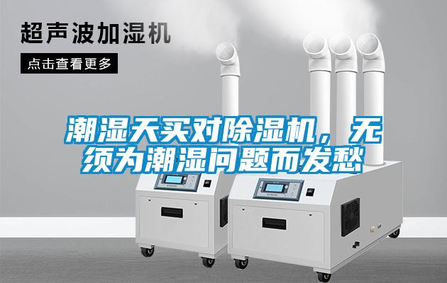 潮濕天買對除濕機,無須為潮濕問題而發愁