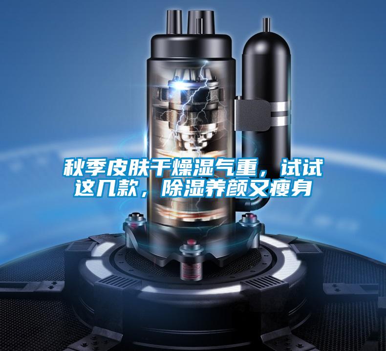 秋季皮膚干燥濕氣重,試試這幾款,除濕養顏又瘦身