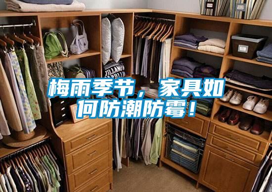 梅雨季節，家具如何防潮防霉！