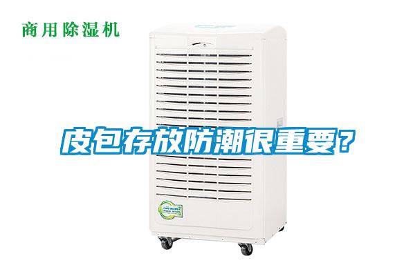 皮包存放防潮很重要?