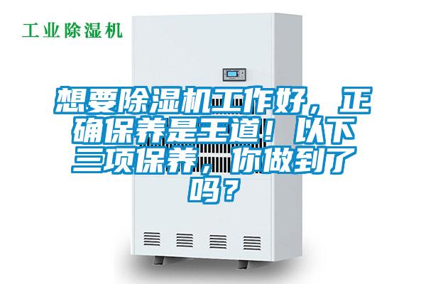 想要除濕機工作好，正確保養是王道！以下三項保養，你做到了嗎？