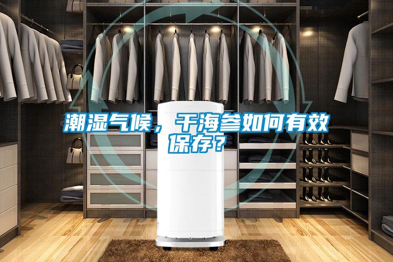 潮濕氣候，干海參如何有效保存？