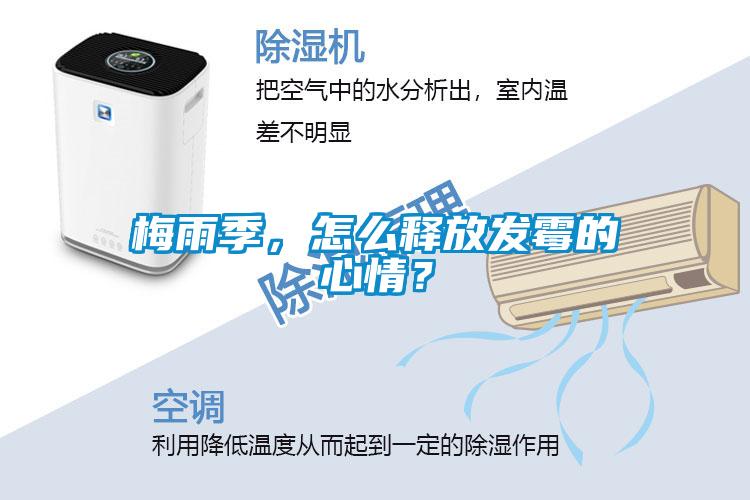 梅雨季,怎么釋放發(fā)霉的心情?