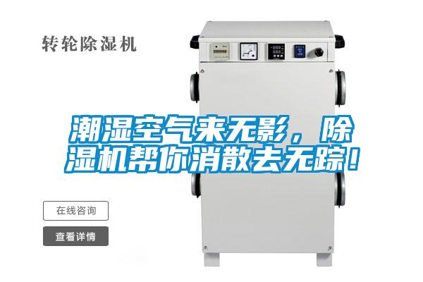 潮濕空氣來無影,除濕機(jī)幫你消散去無蹤!