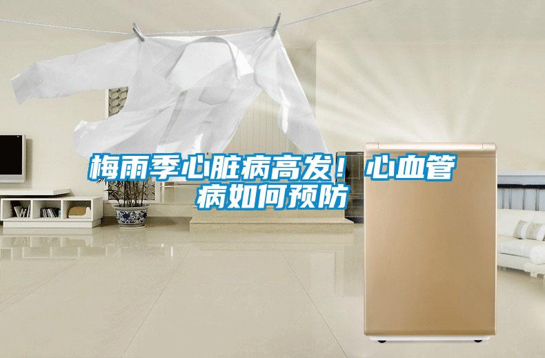 梅雨季心臟病高發!心血管病如何預防