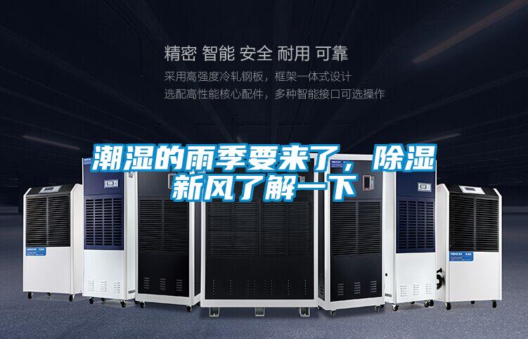 潮濕的雨季要來了,除濕新風了解一下