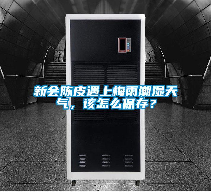 新會陳皮遇上梅雨潮濕天氣,該怎么保存?