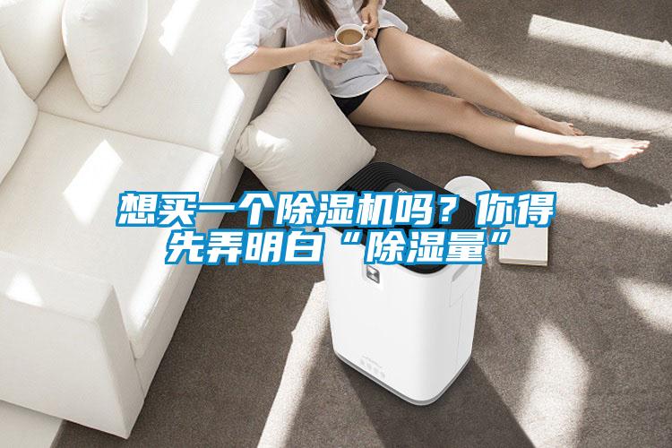 想買一個除濕機嗎?你得先弄明白“除濕量”