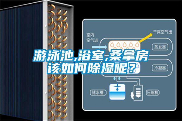 游泳池,浴室,桑拿房該如何除濕呢?