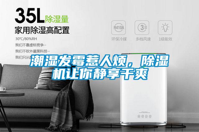 潮濕發(fā)霉惹人煩,除濕機(jī)讓你靜享干爽