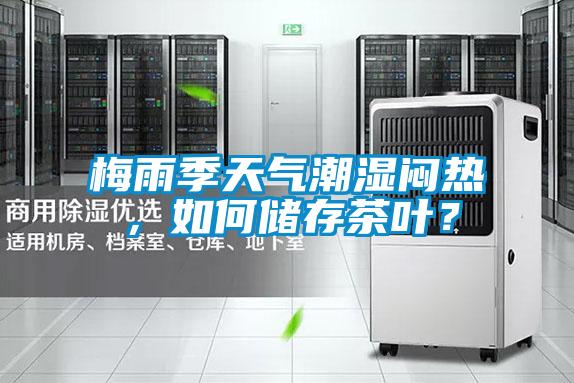 梅雨季天氣潮濕悶熱,如何儲存茶葉?