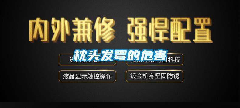 枕頭發霉的危害