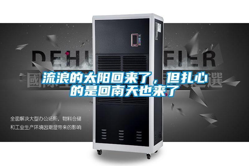 流浪的太陽(yáng)回來(lái)了,但扎心的是回南天也來(lái)了