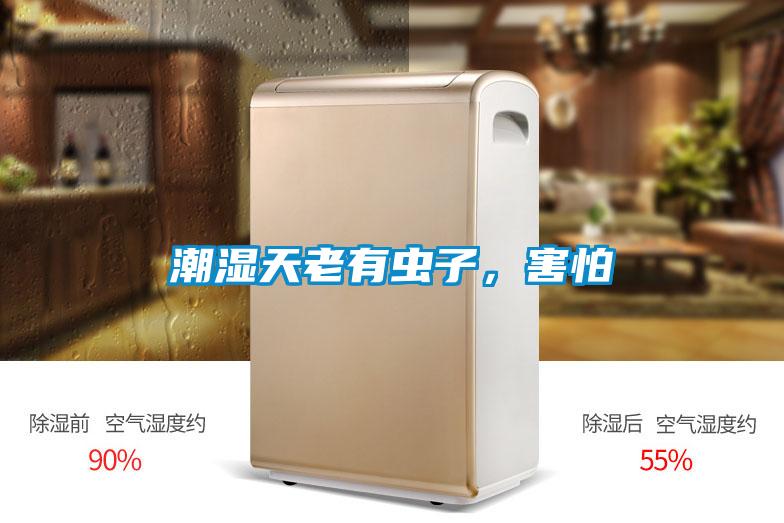 潮濕天老有蟲子,害怕