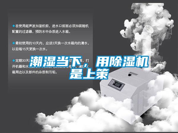 潮濕當下,用除濕機是上策