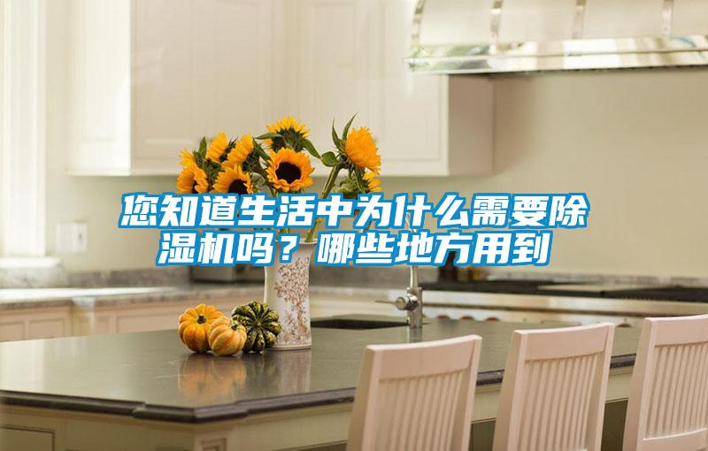 您知道生活中為什么需要除濕機嗎?哪些地方用到