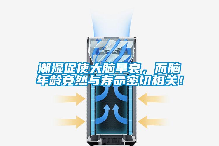 潮濕促使大腦早衰,而腦年齡竟然與壽命密切相關!