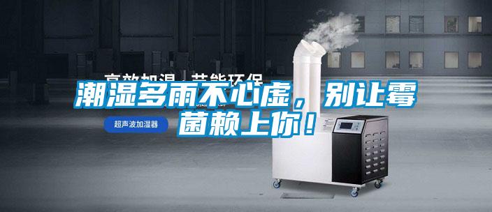 潮濕多雨不心虛,別讓霉菌賴上你!