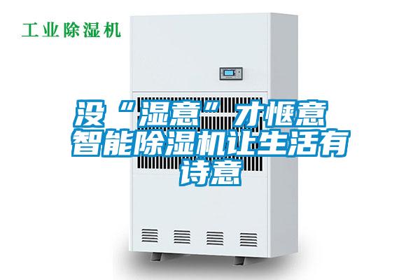 沒“濕意”才愜意 智能除濕機(jī)讓生活有詩意