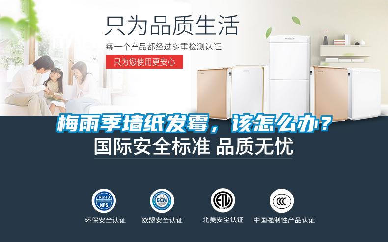 梅雨季墻紙發(fā)霉,該怎么辦?