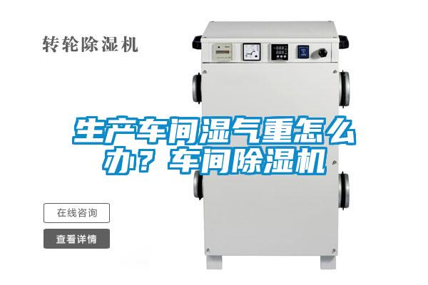 生產車間濕氣重怎么辦?車間除濕機