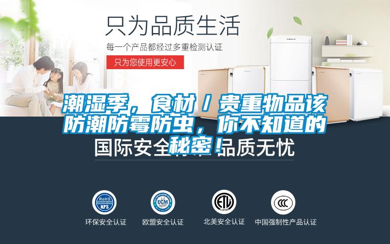 潮濕季,食材/貴重物品該防潮防霉防蟲,你不知道的秘密!