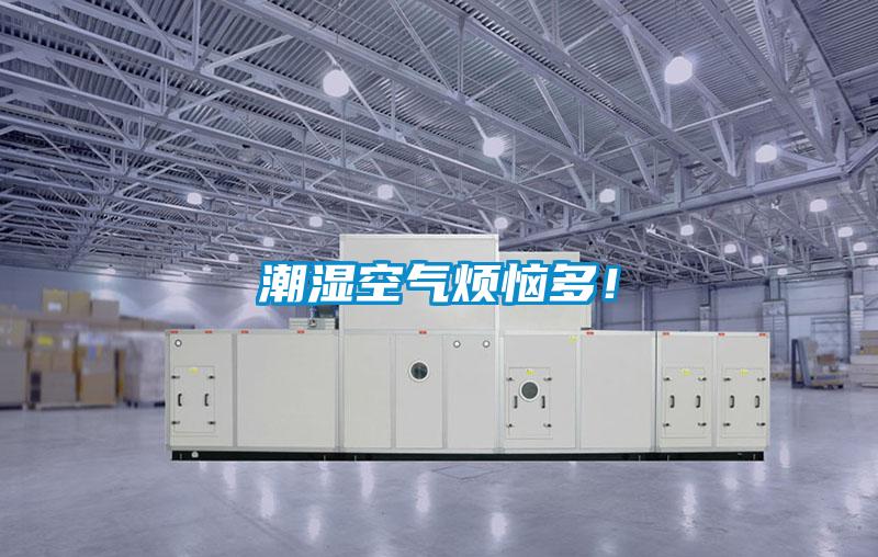 潮濕空氣煩惱多!