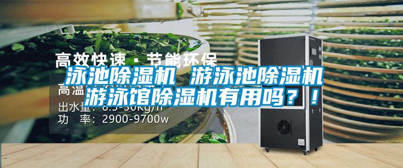 泳池除濕機 游泳池除濕機 游泳館除濕機有用嗎?!