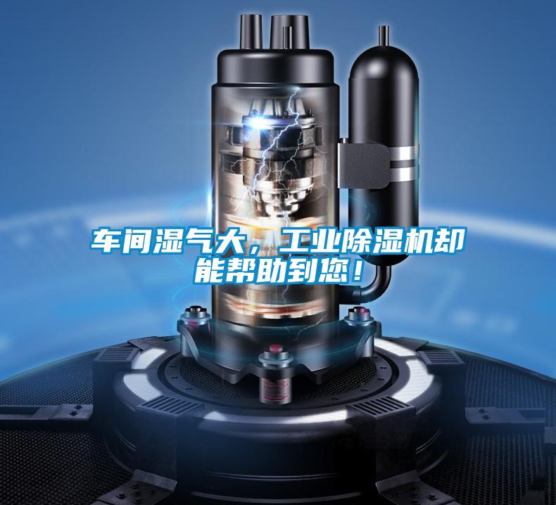 車間濕氣大,工業(yè)除濕機(jī)卻能幫助到您!